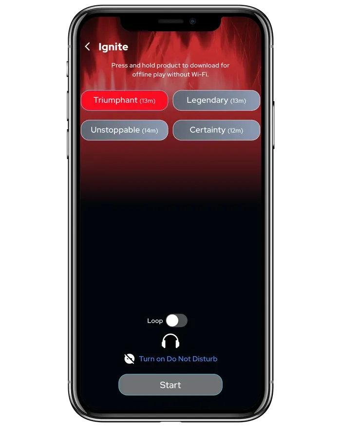 How to use Ignite
