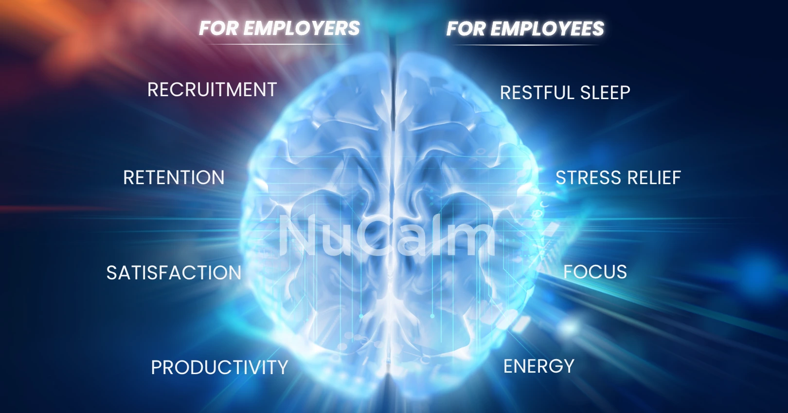 Brain Comparison