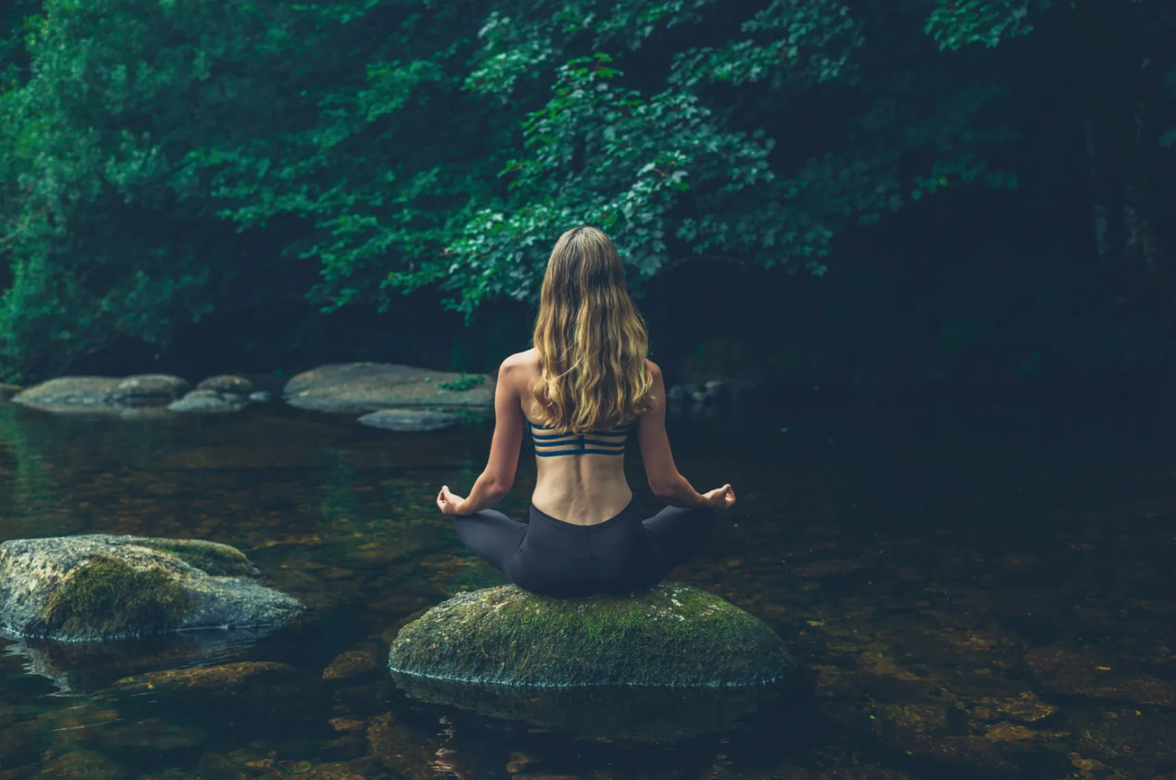 Mediation for Stress